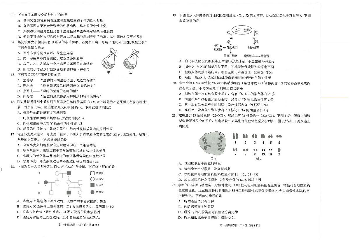 福建省泉州市2023-2024学年高一下学期教学质量监测生物试题第2页
