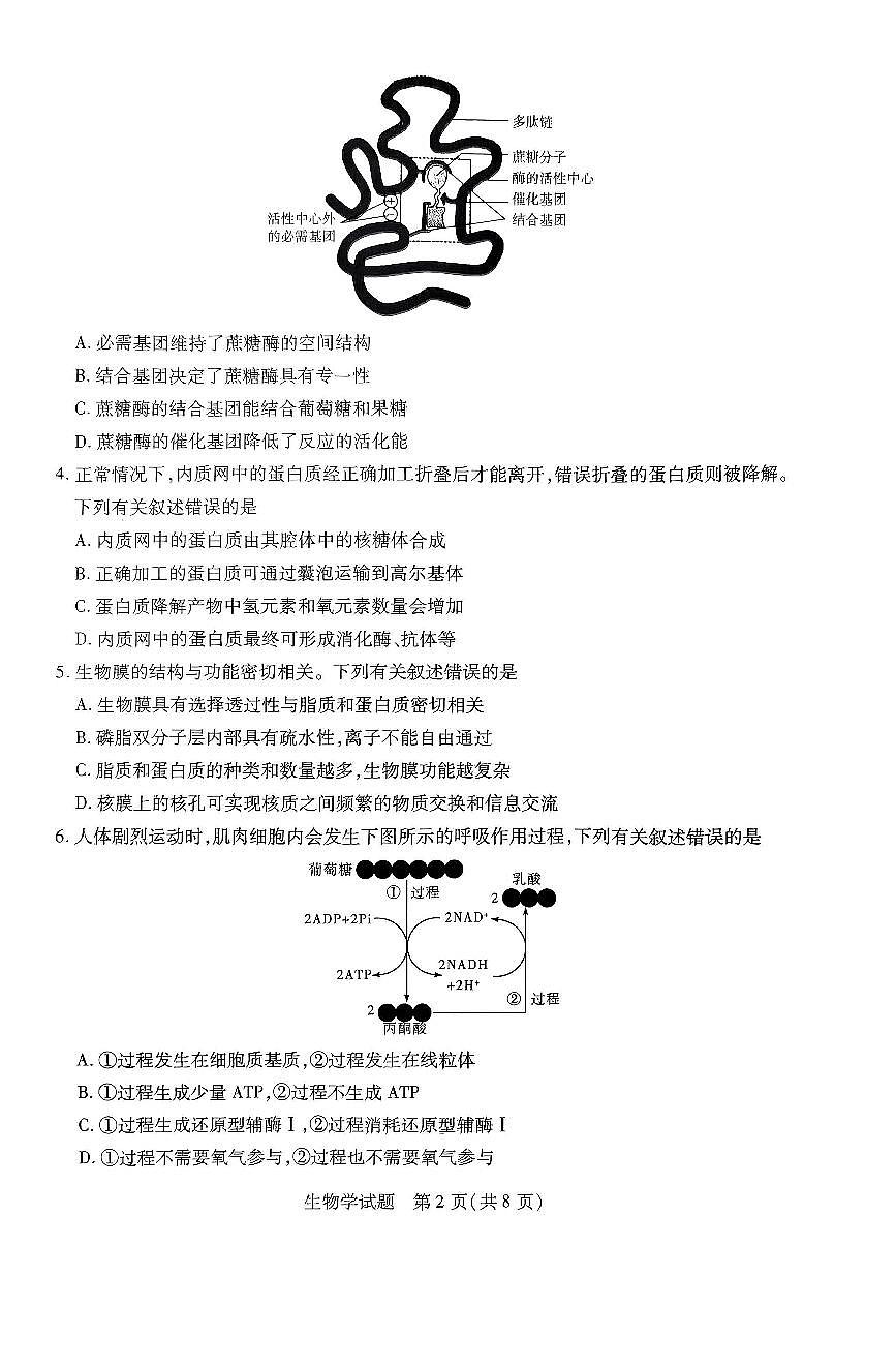 河南省南阳市六校联考2023-2024学年高二下学期期末考试生物试题第2页
