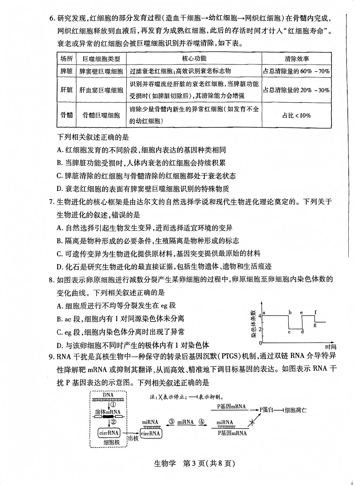 安徽省亳州市普通高中2025一2026学年度第一学期高三期末质量检测生物学试题第3页