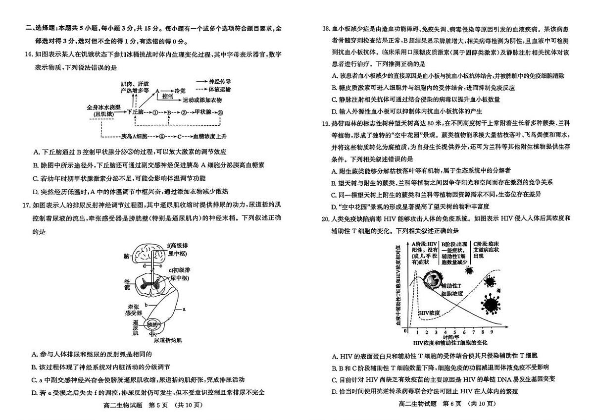 山东济南市2025—2026学年高二上学期期末考试生物试题第3页
