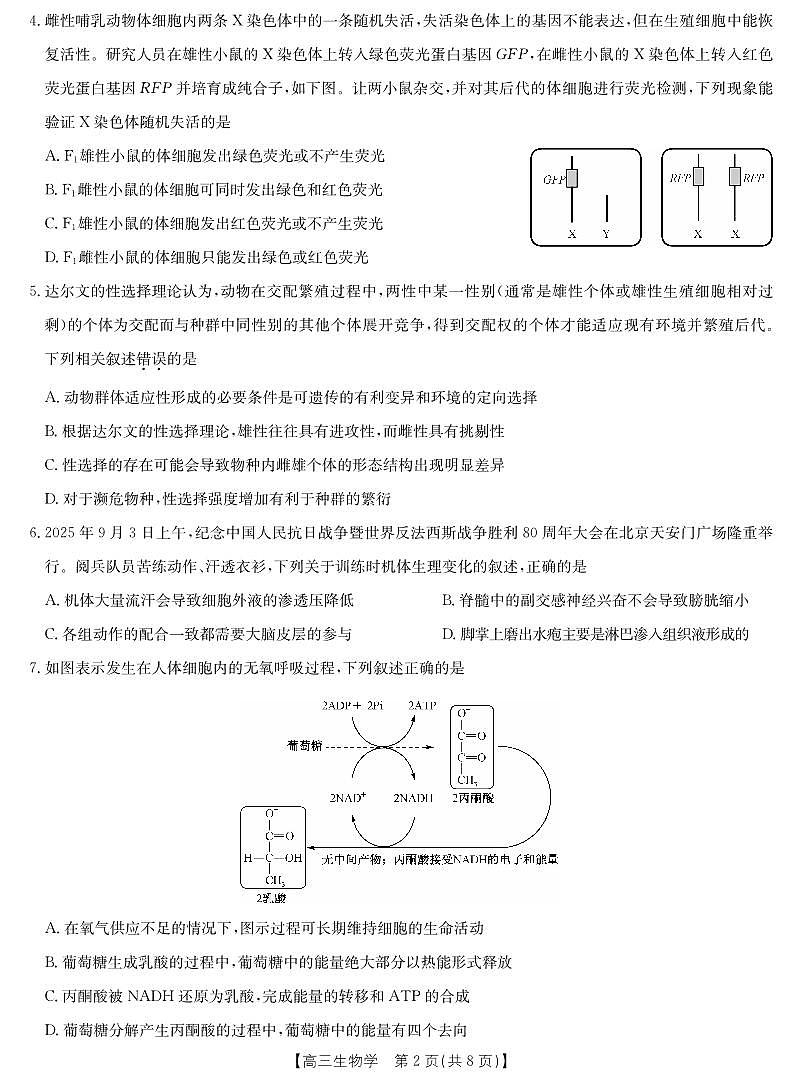 生物-十堰市高三元月调研考第2页