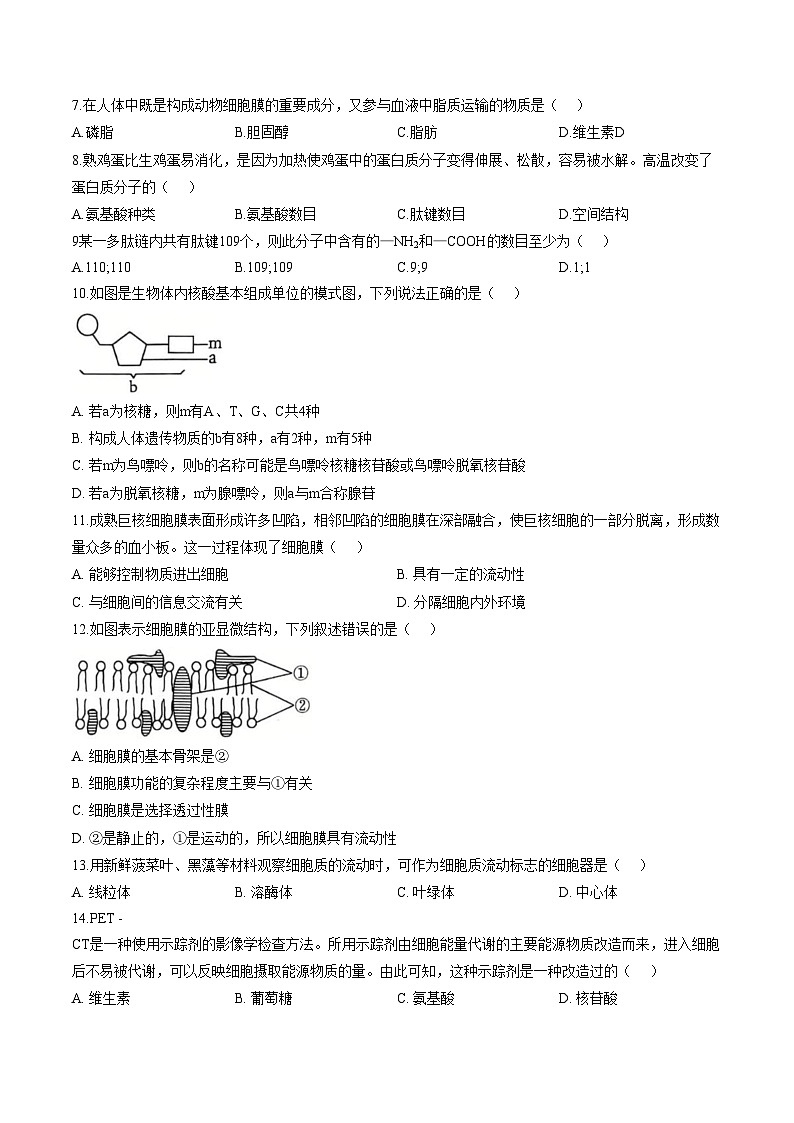 广东深圳中学2025_2026学年度第一学期期末考试试题高一生物学B卷（扫描版，含答案）第2页