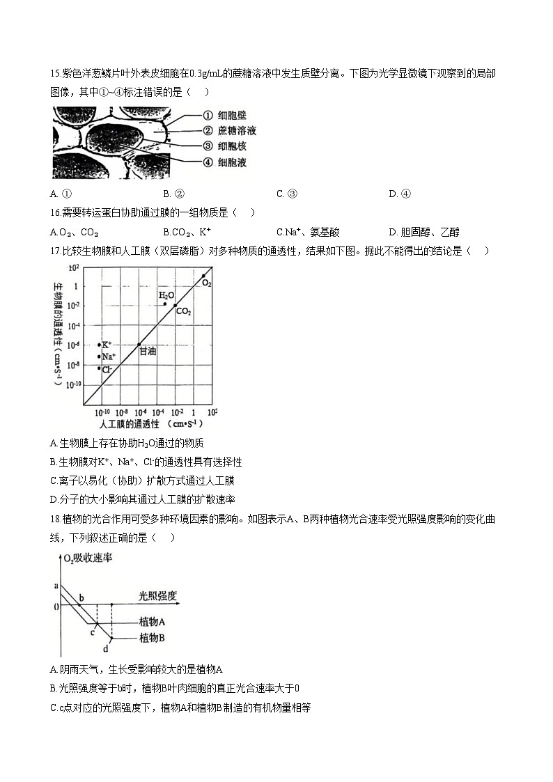 广东深圳中学2025_2026学年度第一学期期末考试试题高一生物学B卷（扫描版，含答案）第3页