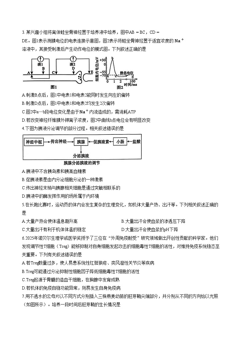 山东枣庄市2025~2026学年第一学期期末质量检测高二生物学试题（文字版，含答案）第2页