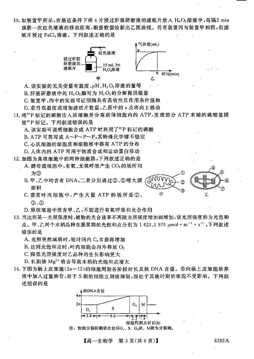 高一年级1月测评生物试题第3页