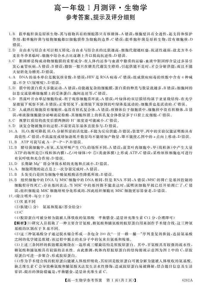 高一生物答案第1页