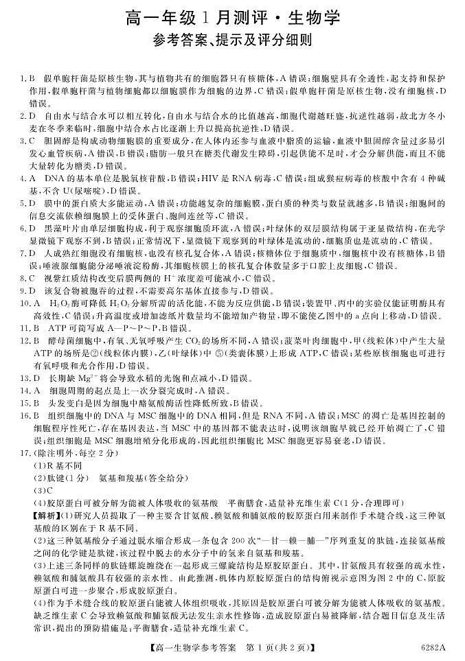 高一生物答案第1页