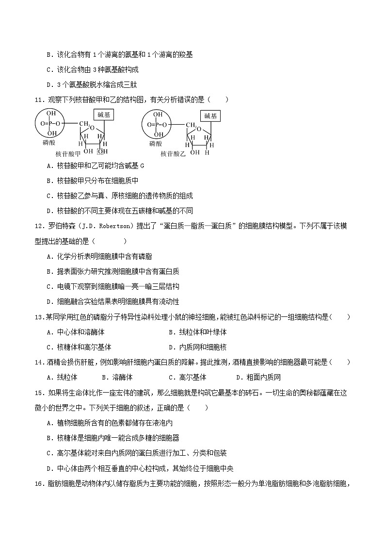 河北省张家口市2025_2026学年高一生物上学期期中测试第3页