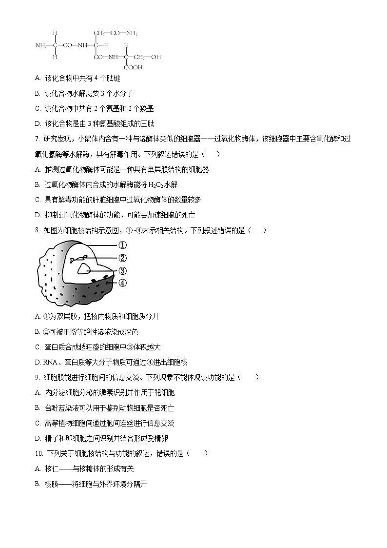人教版2025-2026学年高一下学期开学模拟考试生物试题02（原卷版）第2页