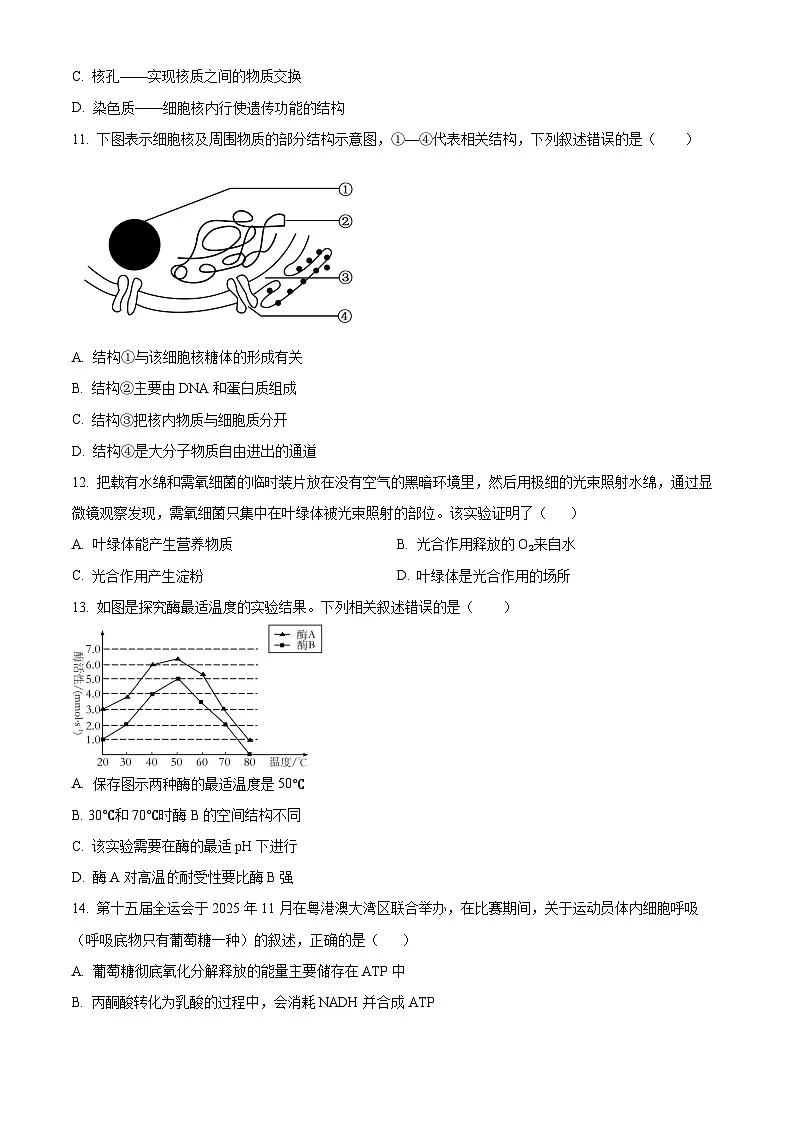 人教版2025-2026学年高一下学期开学模拟考试生物试题02（原卷版）第3页