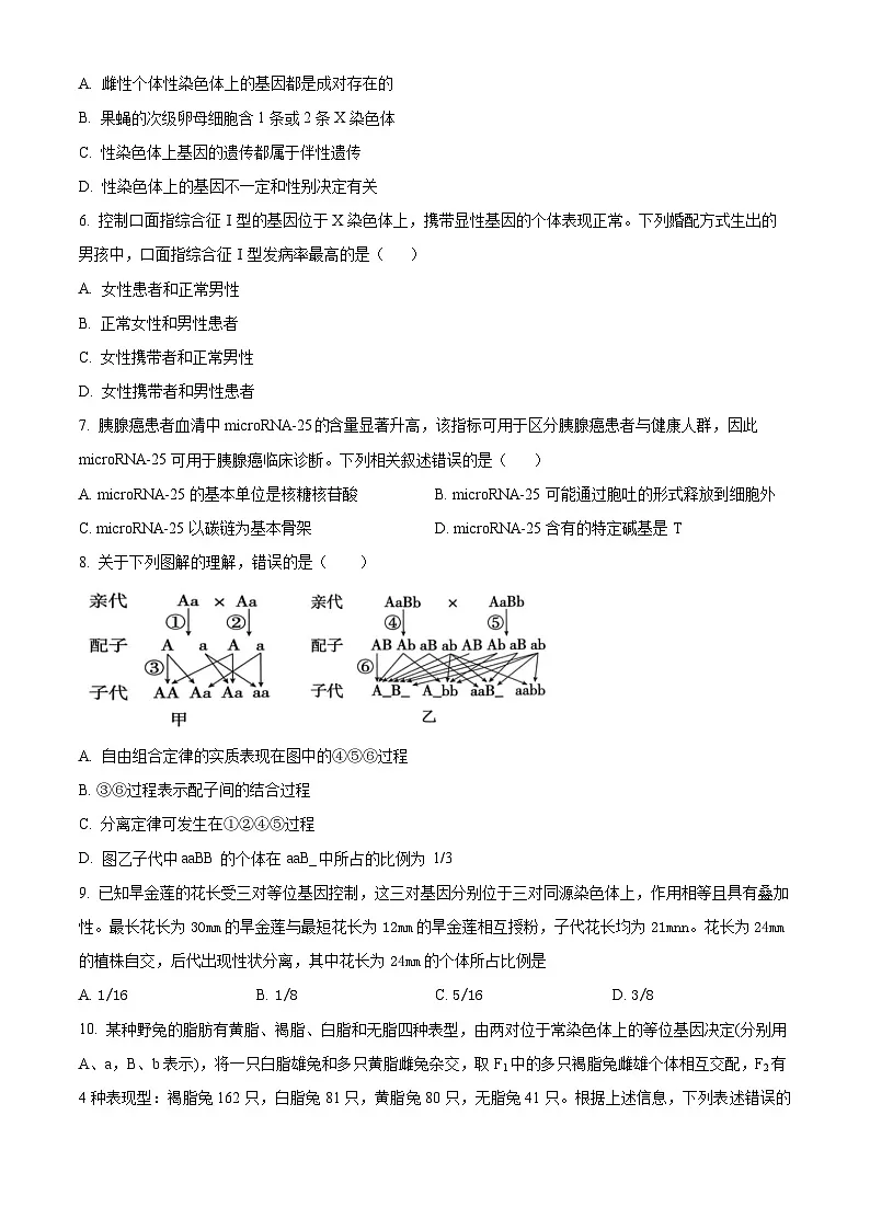 人教版2025-2026学年高一下学期期中模拟考试生物试题02（原卷版）第2页