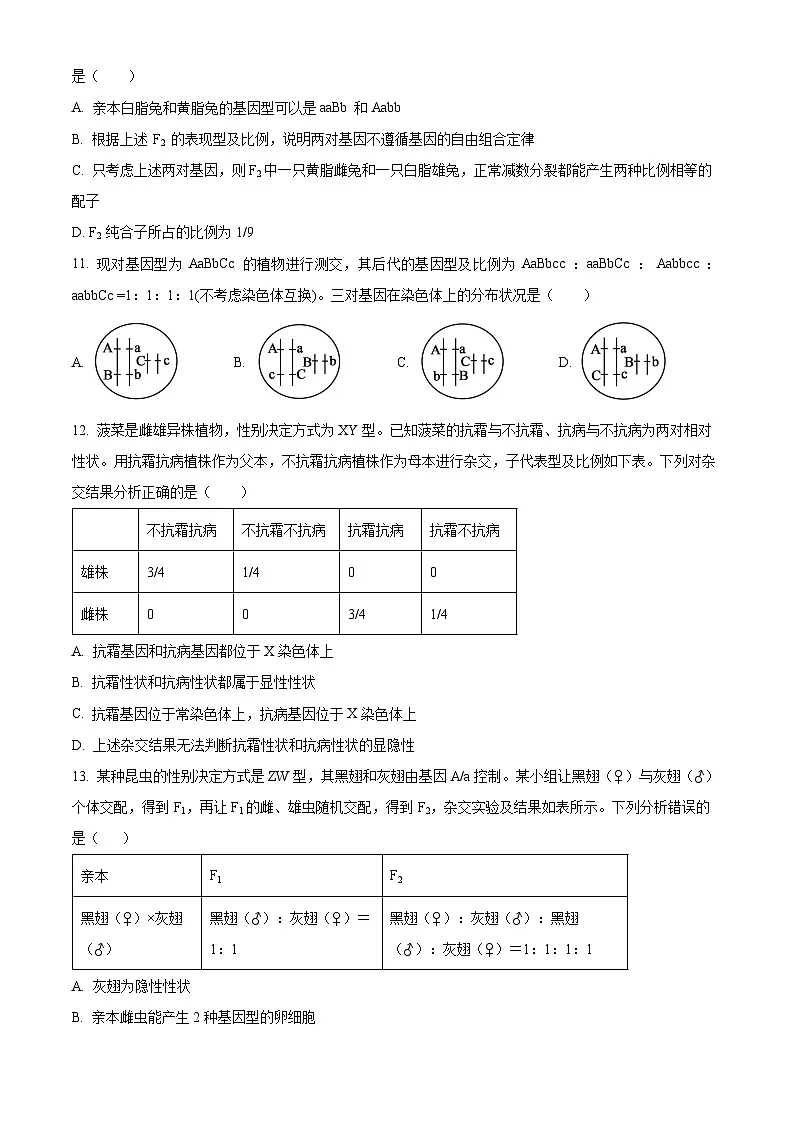 人教版2025-2026学年高一下学期期中模拟考试生物试题02（原卷版）第3页