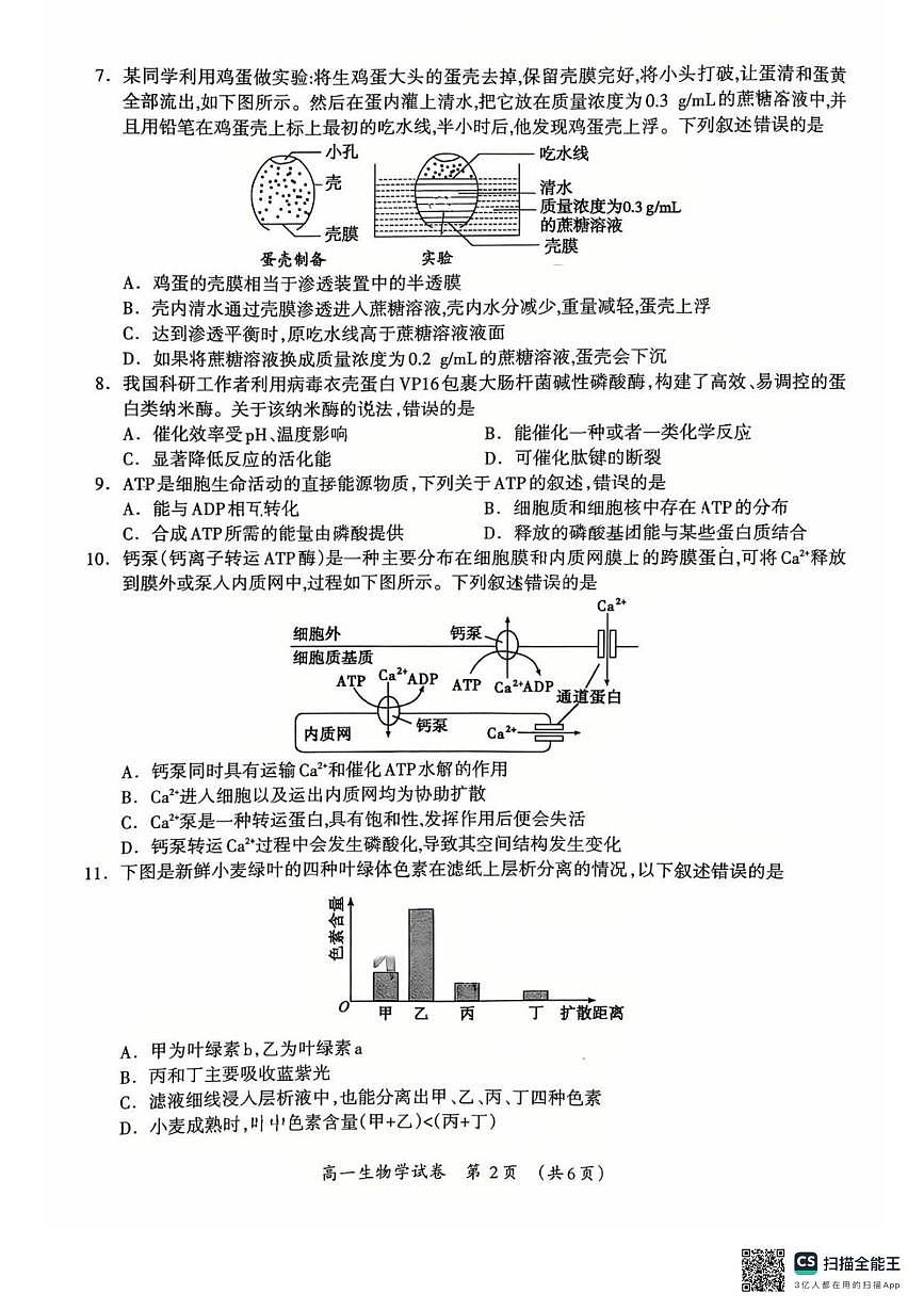 桂林市2025-2026学年度上学期期末质量检测高一年级生物学 2025-2026学年度上学期期末质量检测高一年级生物学试题第2页