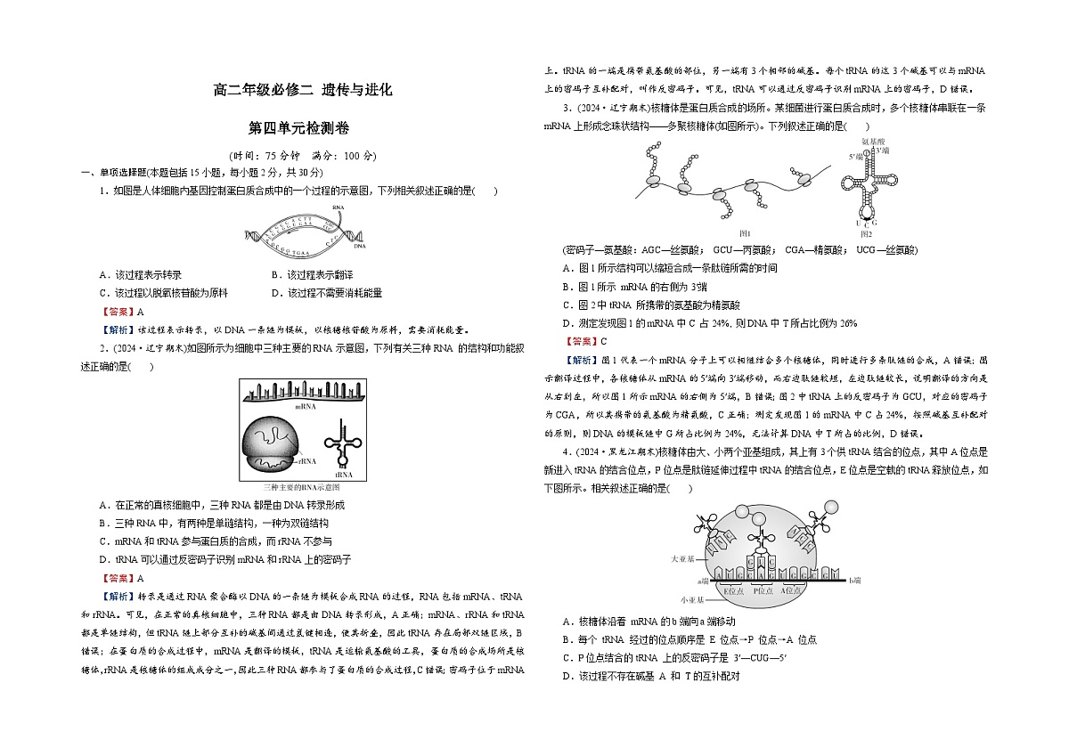 【单元测试卷】人教版高中生物第四章 基因的表达单元检测卷（解析）第1页