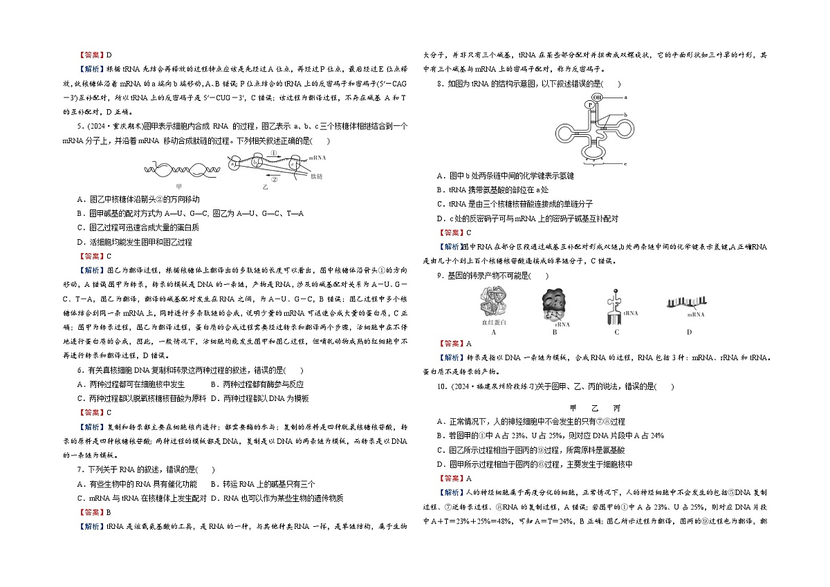【单元测试卷】人教版高中生物第四章 基因的表达单元检测卷（解析）第2页