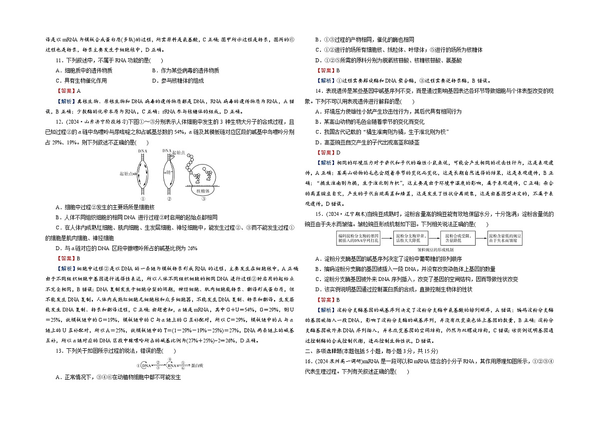【单元测试卷】人教版高中生物第四章 基因的表达单元检测卷（解析）第3页