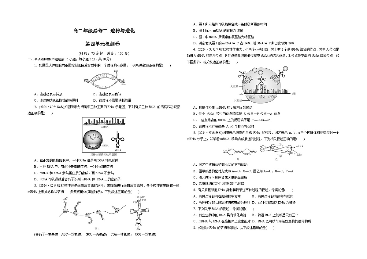 【单元测试卷】人教版高中生物第四章 基因的表达单元检测卷（原卷）第1页