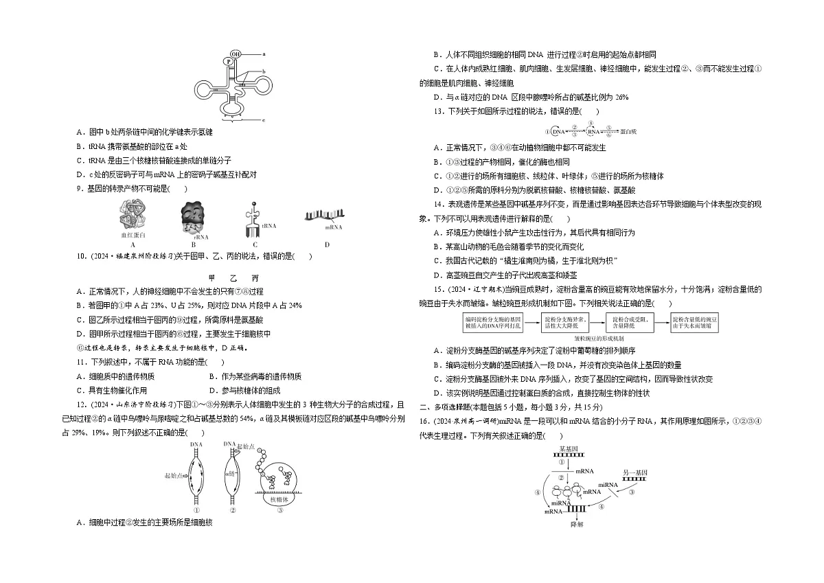 【单元测试卷】人教版高中生物第四章 基因的表达单元检测卷（原卷）第2页
