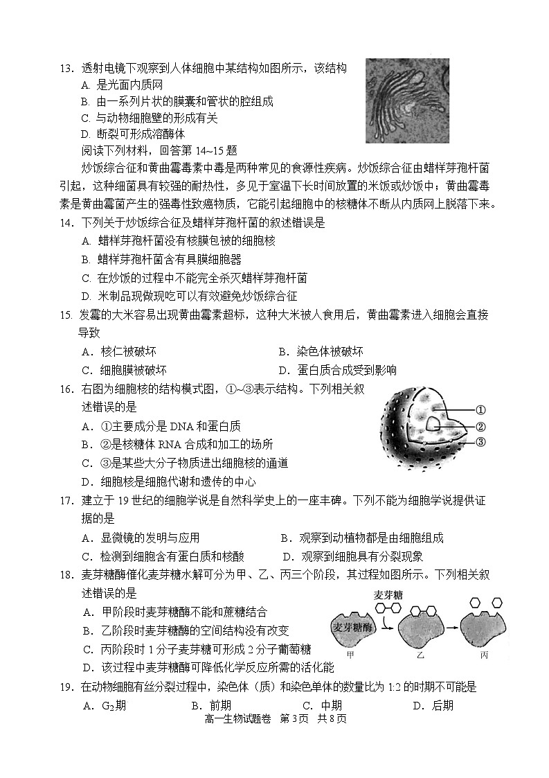 浙江省丽水市2024-2025学年高一上学期1月期末生物试题 含答案第3页