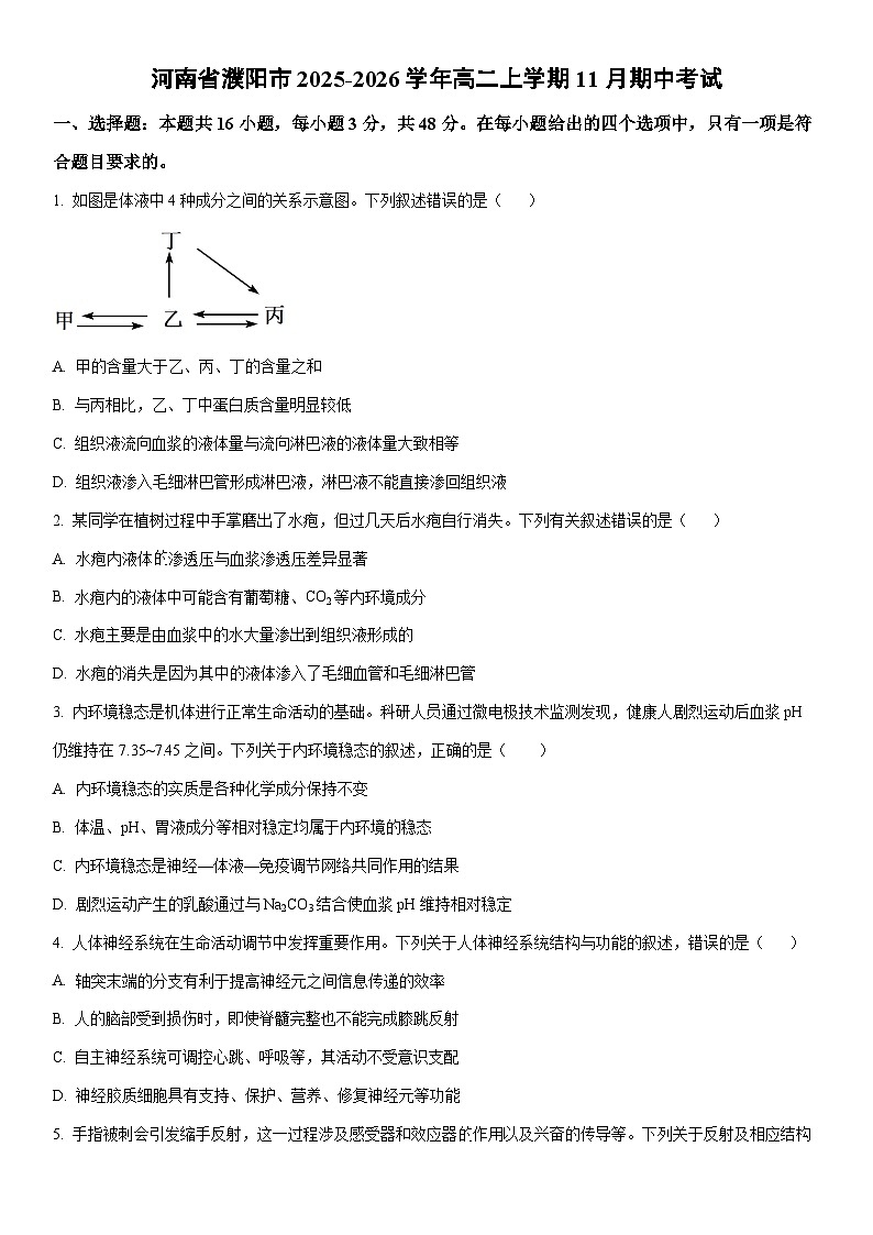 2025-2026学年河南省濮阳市高二上学期11月期中考试生物试卷（学生版）第1页