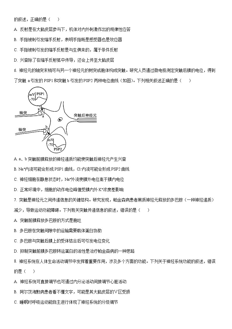 2025-2026学年河南省濮阳市高二上学期11月期中考试生物试卷（学生版）第2页