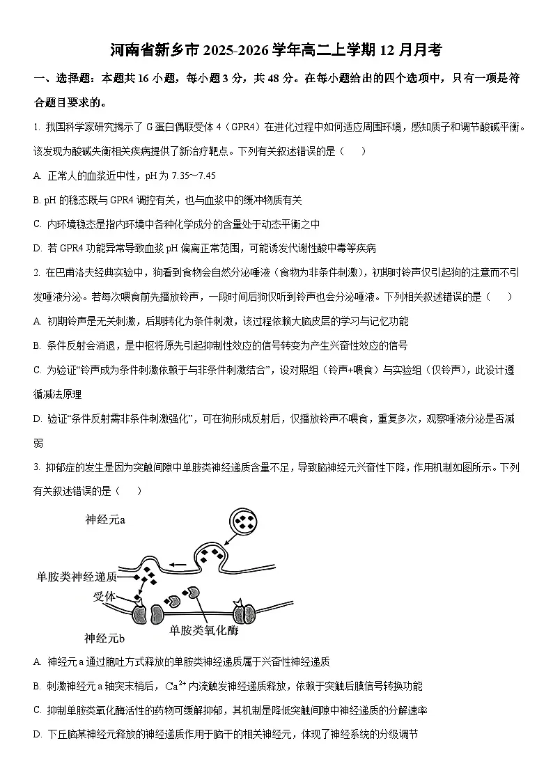 2025-2026学年河南省新乡市高二上学期12月月考生物试卷（学生版）第1页
