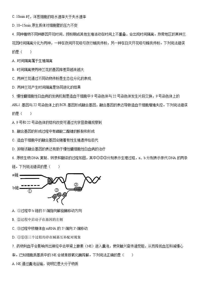 2026届山东省潍坊市高三上学期一模考试生物试卷（学生版）第2页