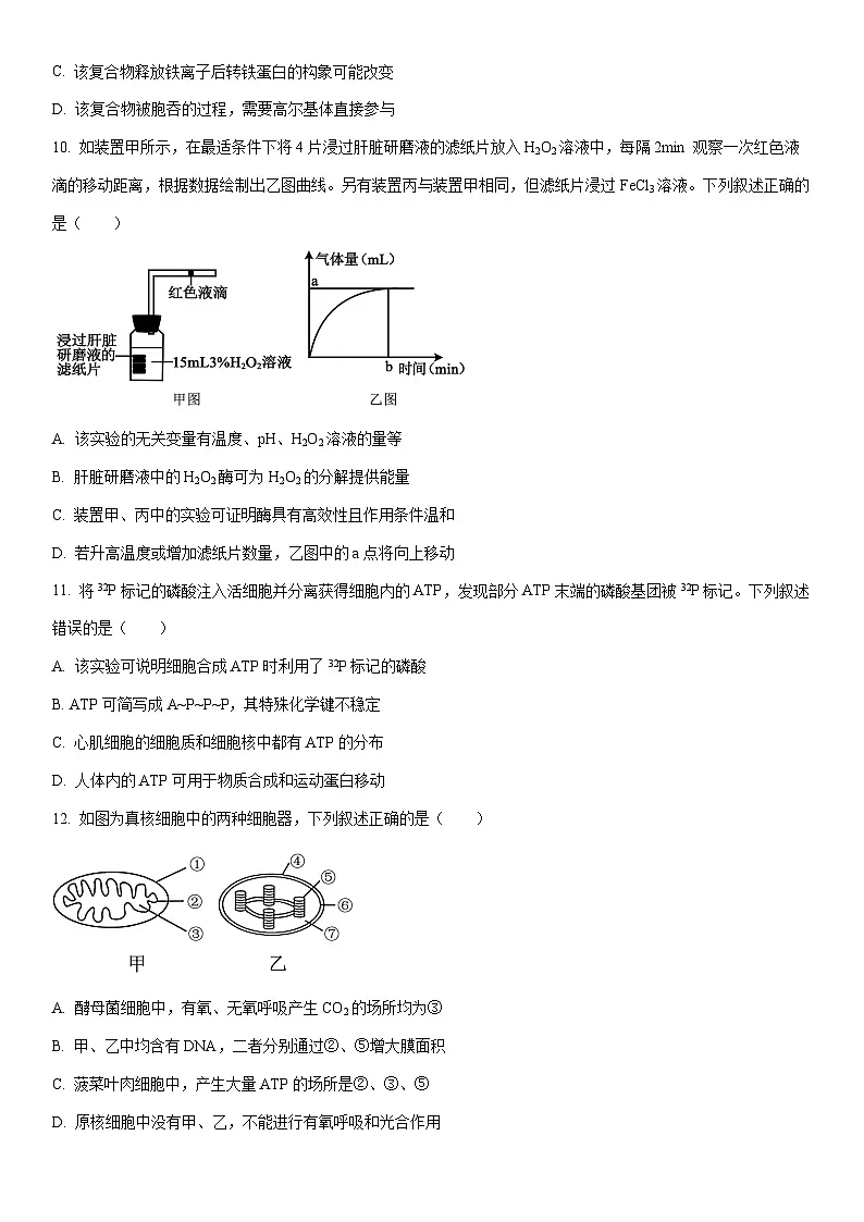 2025-2026学年河南省南阳市新未来大联考高一上学期1月期末生物试卷（学生版）第3页