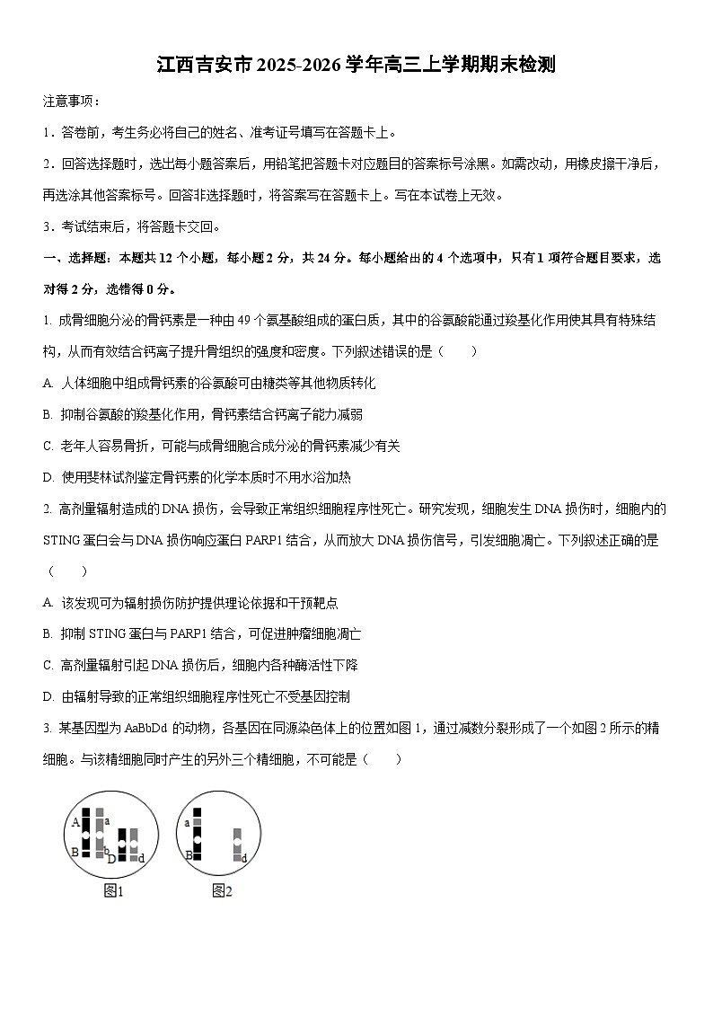 2025-2026学年江西吉安市高三上学期期末检测生物试卷（学生版）第1页