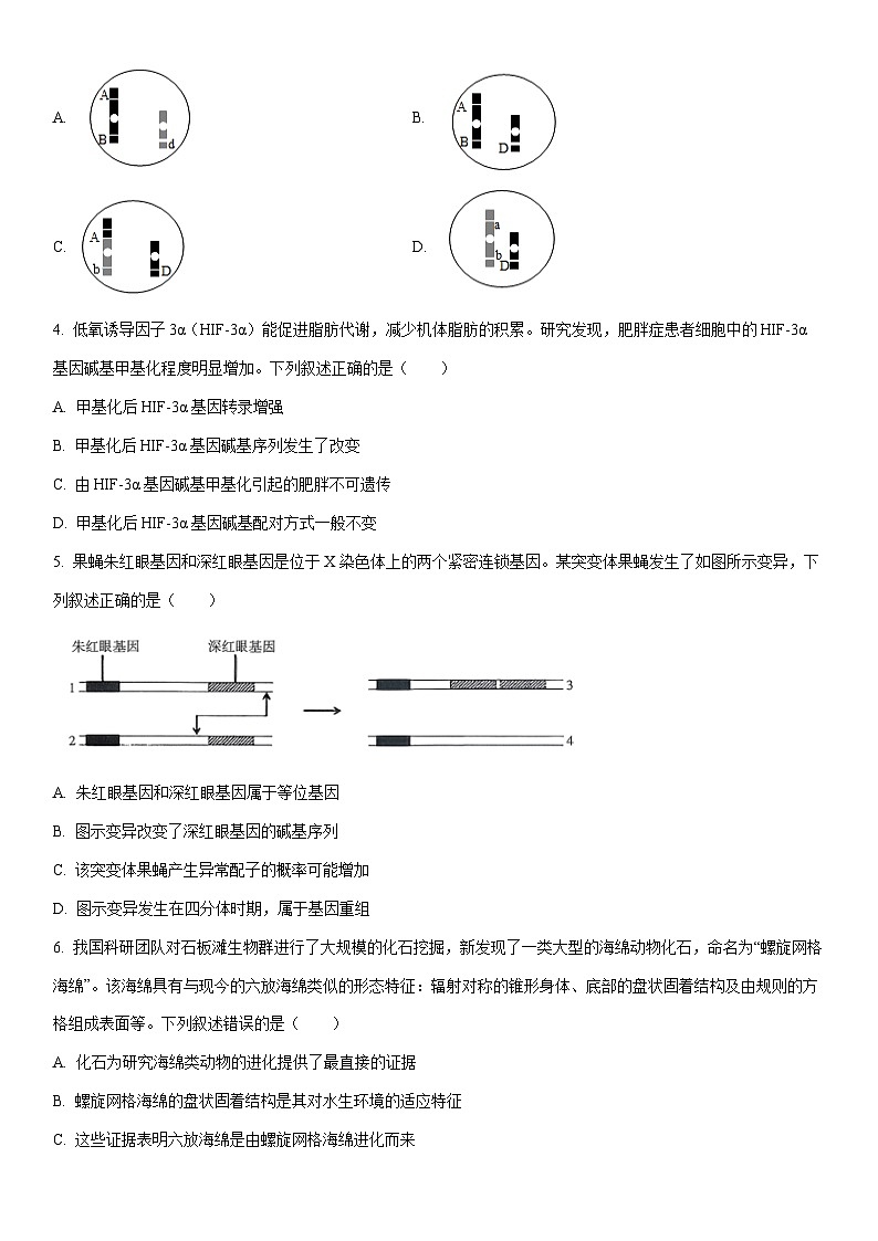 2025-2026学年江西吉安市高三上学期期末检测生物试卷（学生版）第2页