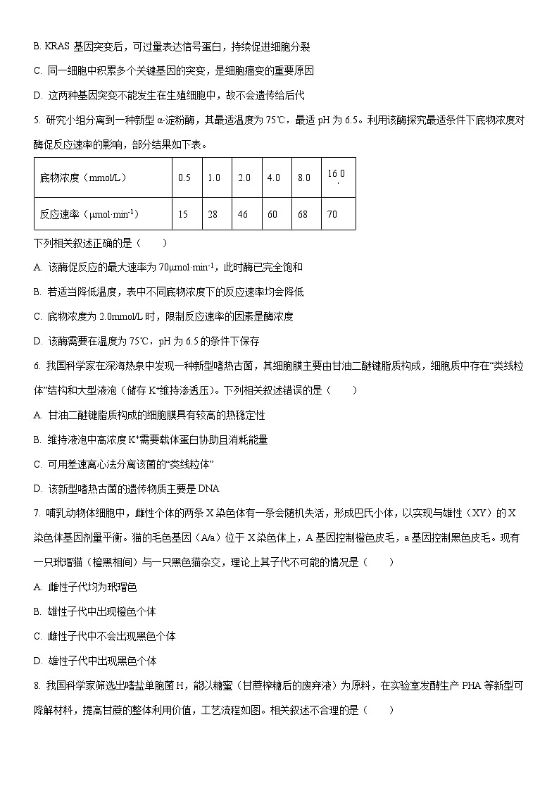 2025-2026学年内蒙古赤峰市高三上学期1月模拟考试生物试卷（学生版）第2页