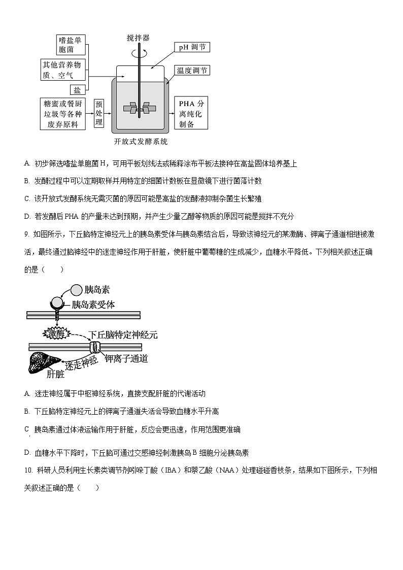 2025-2026学年内蒙古赤峰市高三上学期1月模拟考试生物试卷（学生版）第3页