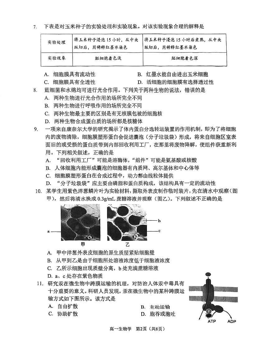 天津市南开区2025-2026学年第一学期期末试卷 高一年级生物学第2页