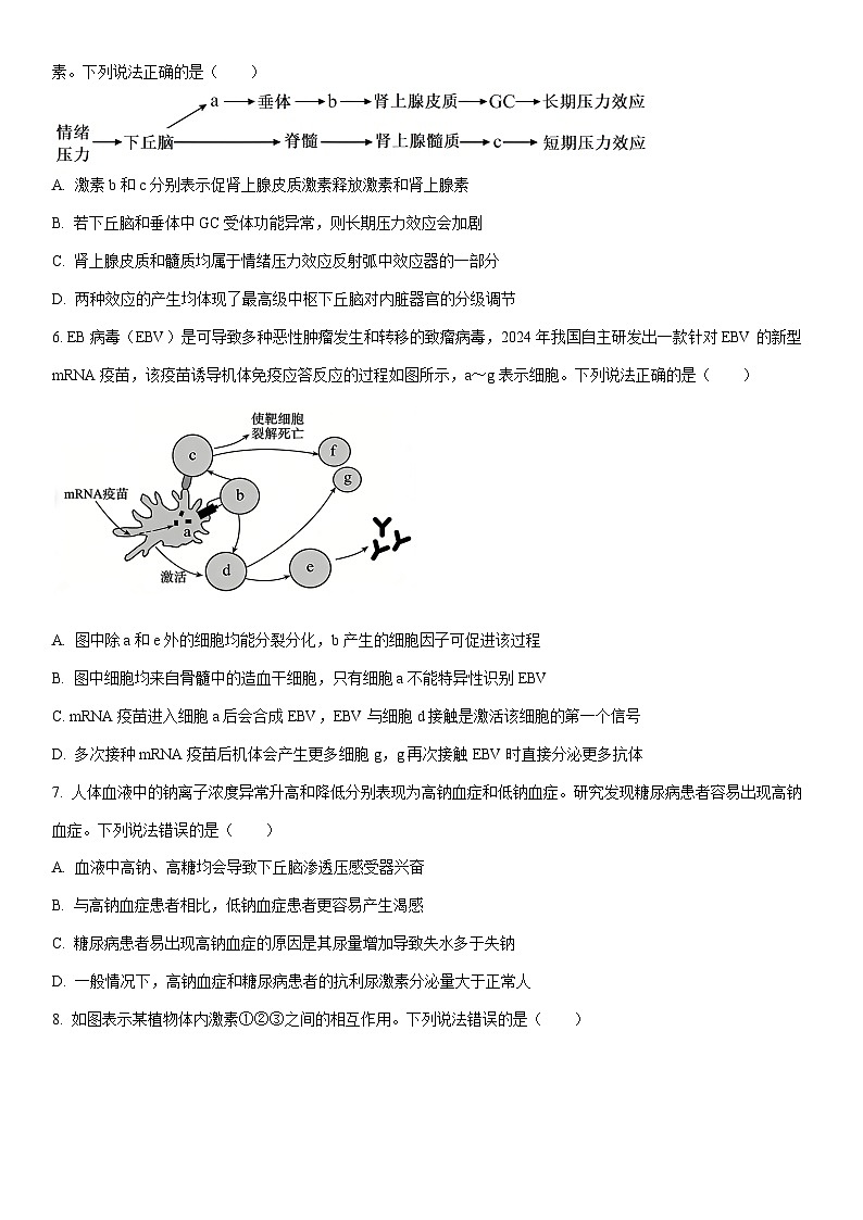 2025-2026学年山东德州市高二上学期期末考试生物试卷（学生版）第3页