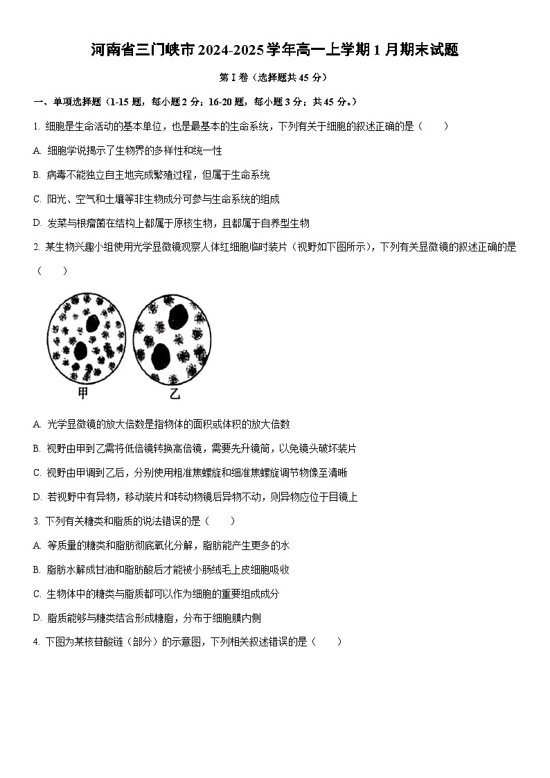 2024-2025学年河南省三门峡市高一上学期1月期末生物试卷（学生版）第1页