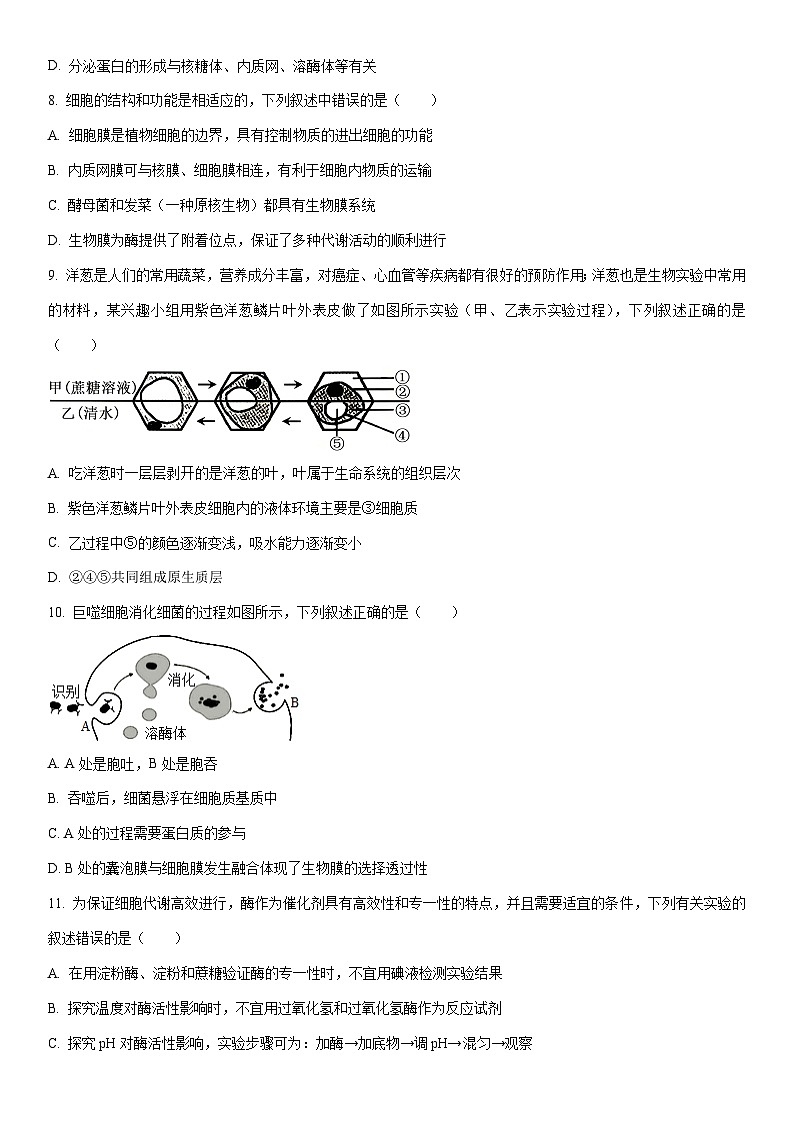 2024-2025学年河南省三门峡市高一上学期1月期末生物试卷（学生版）第3页