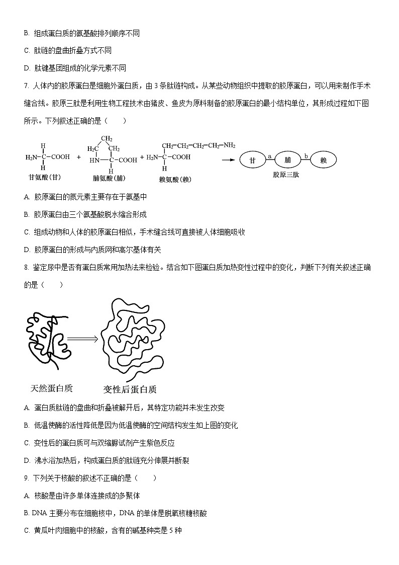 2025-2026学年天津市部分区高一第一学期期末练习生物试卷（学生版）第2页