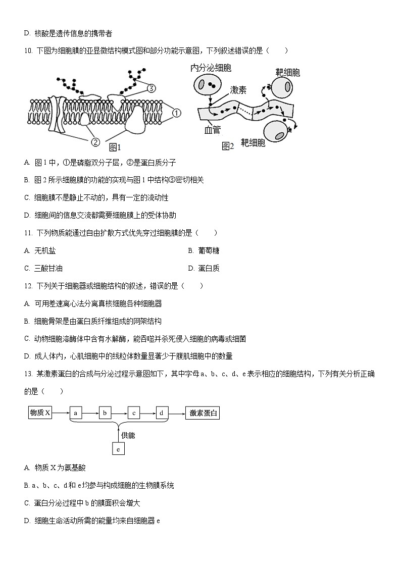 2025-2026学年天津市部分区高一第一学期期末练习生物试卷（学生版）第3页
