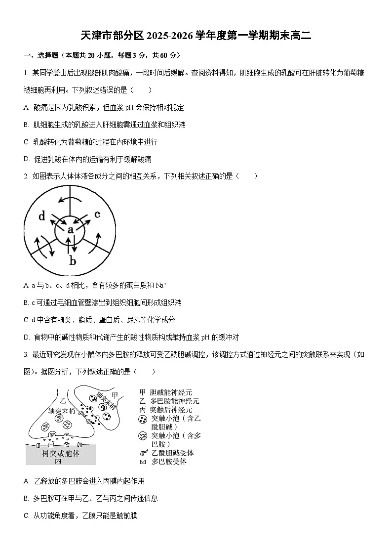 2025-2026学年天津市部分区度第一学期期末高二生物试卷（学生版）第1页