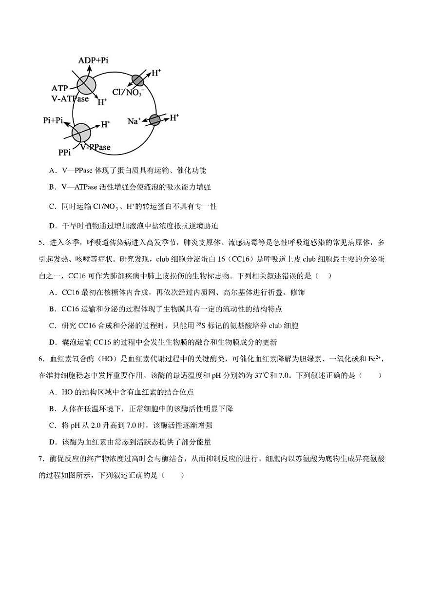 2026届云南省迪庆藏族自治州民族中学高三上学期期末考试生物试卷（含答案）第2页