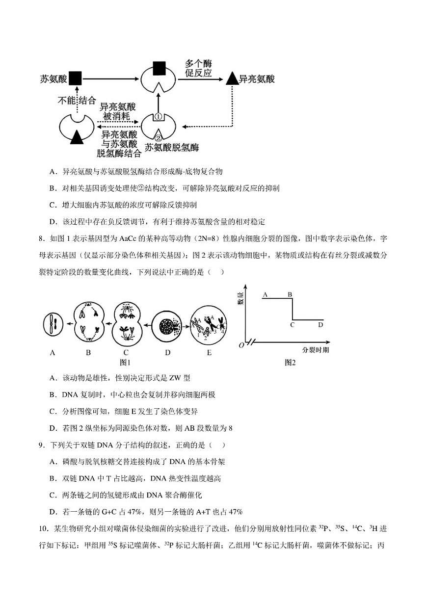 2026届云南省迪庆藏族自治州民族中学高三上学期期末考试生物试卷（含答案）第3页