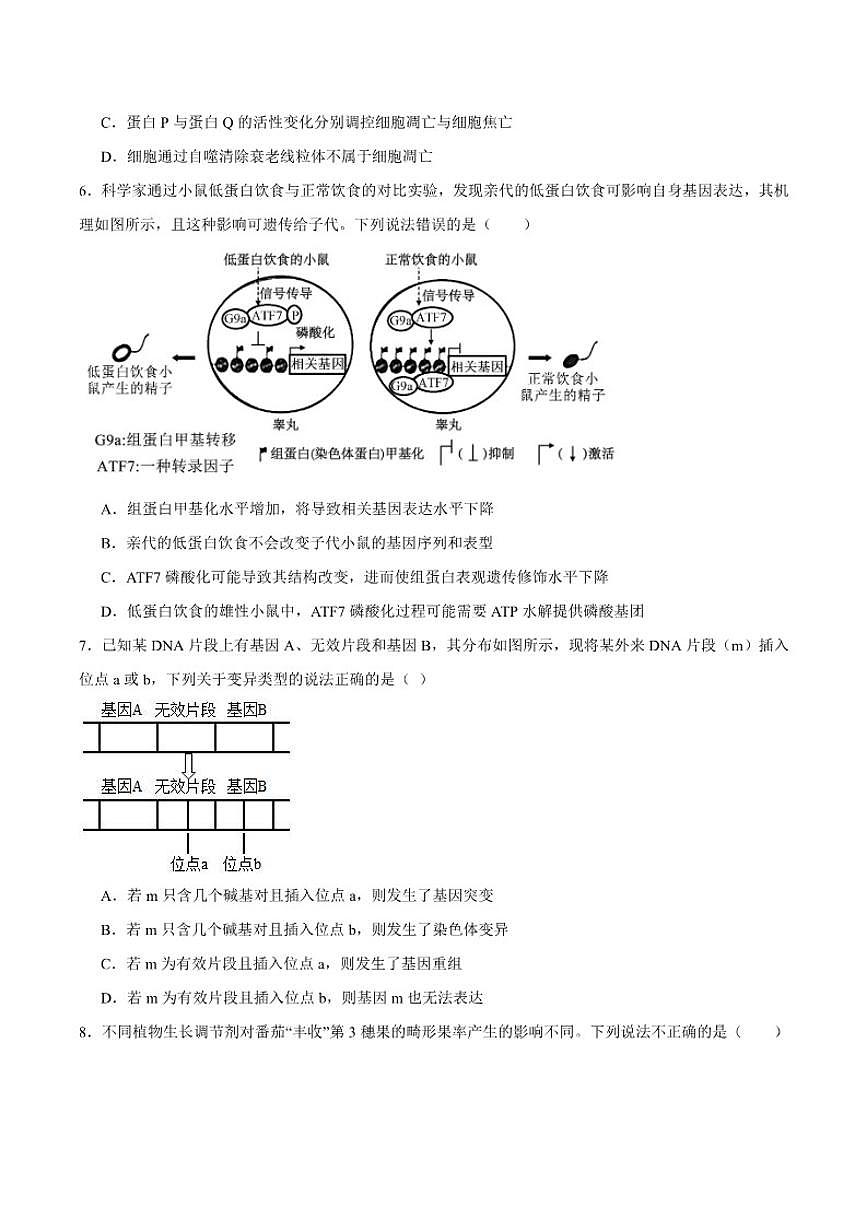 2026届云南省曲靖市宣威市第一中学高三上学期期末考试生物试卷（含答案）第2页