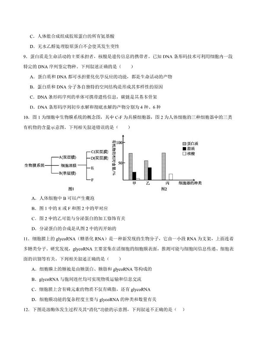 2025-2026学年河北省石家庄市第二中学高一上学期期末考试生物试卷（含答案）第3页