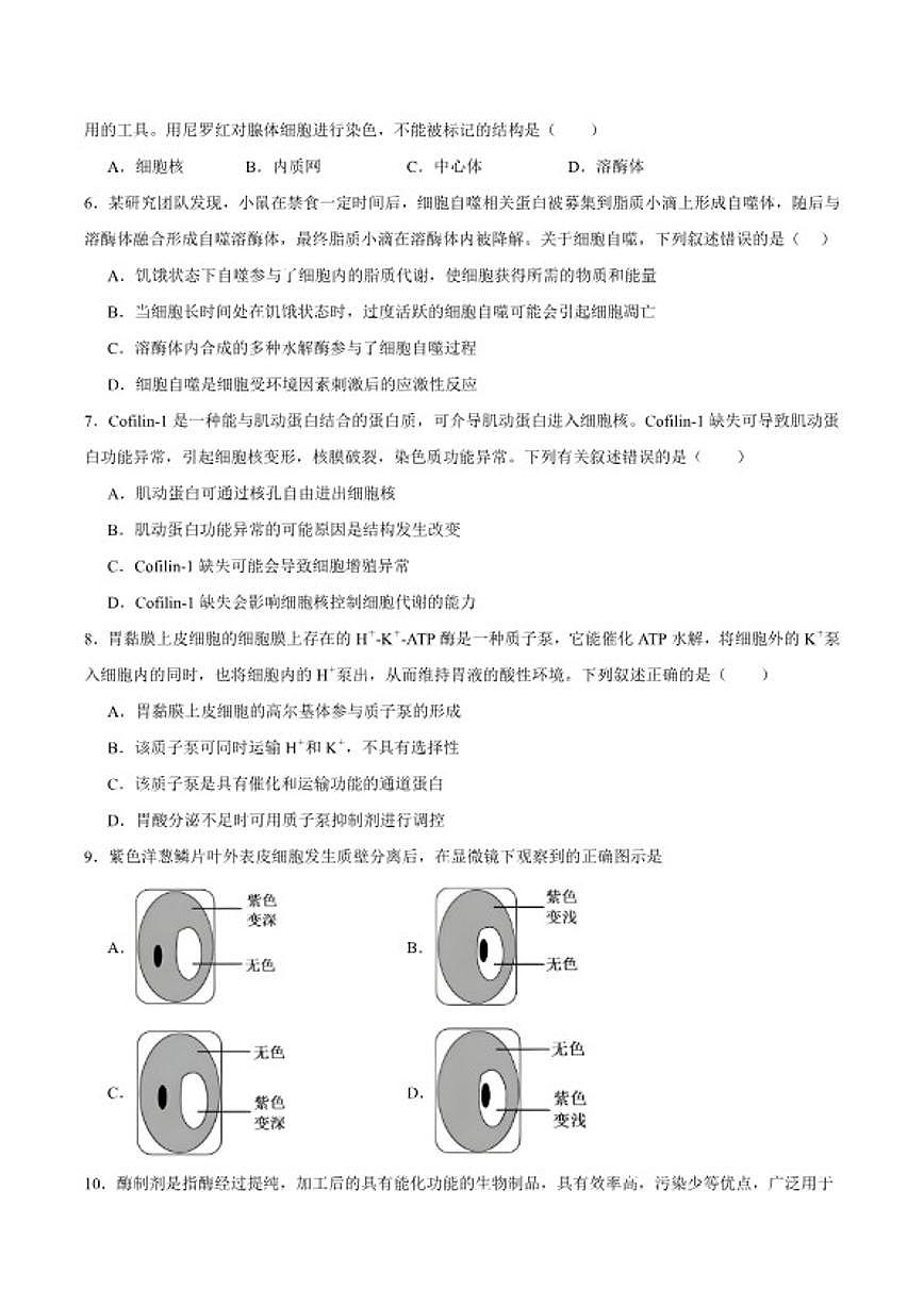 2025-2026学年安徽合肥市六校联考高一上学期期末考试生物学试卷（含答案）第2页