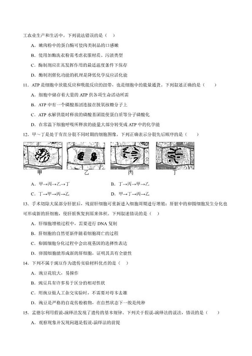 2025-2026学年安徽合肥市六校联考高一上学期期末考试生物学试卷（含答案）第3页