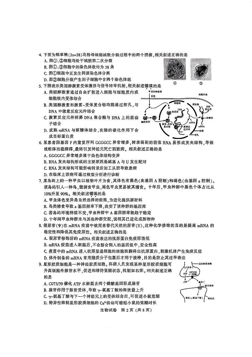 鐢熺墿第2页