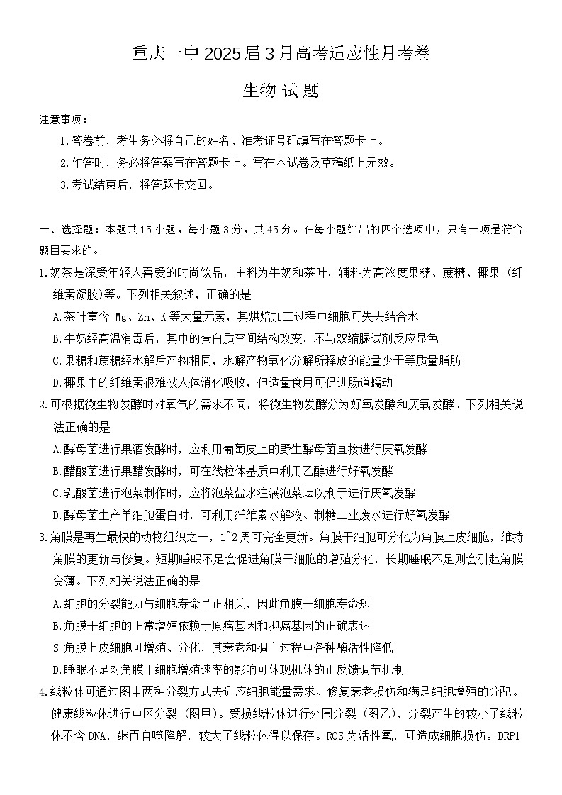 重庆市沙坪坝区重庆市第一中学校2024-2025学年高三下学期3月月考生物试题第1页