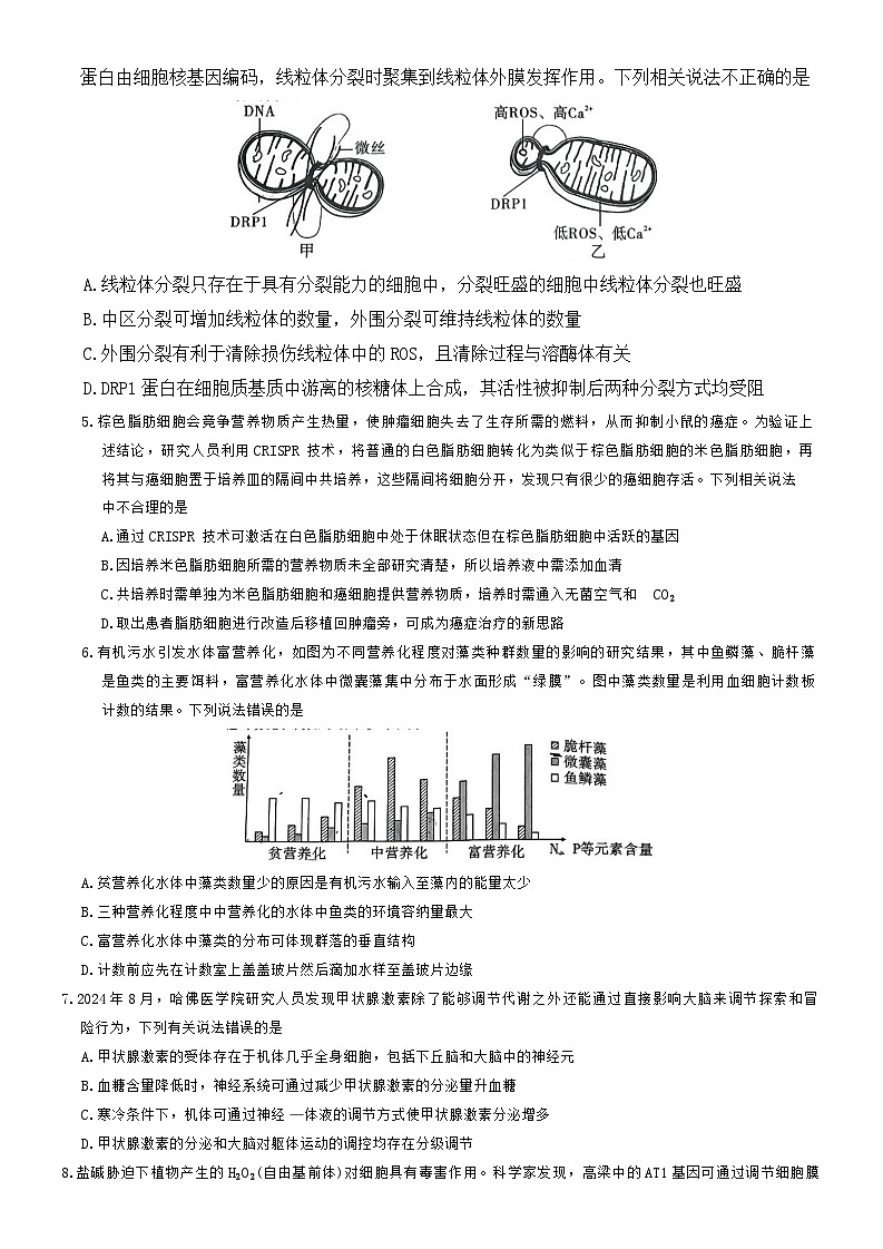 重庆市沙坪坝区重庆市第一中学校2024-2025学年高三下学期3月月考生物试题第2页