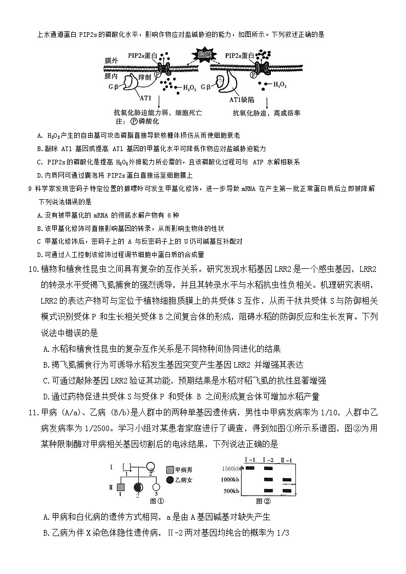 重庆市沙坪坝区重庆市第一中学校2024-2025学年高三下学期3月月考生物试题第3页