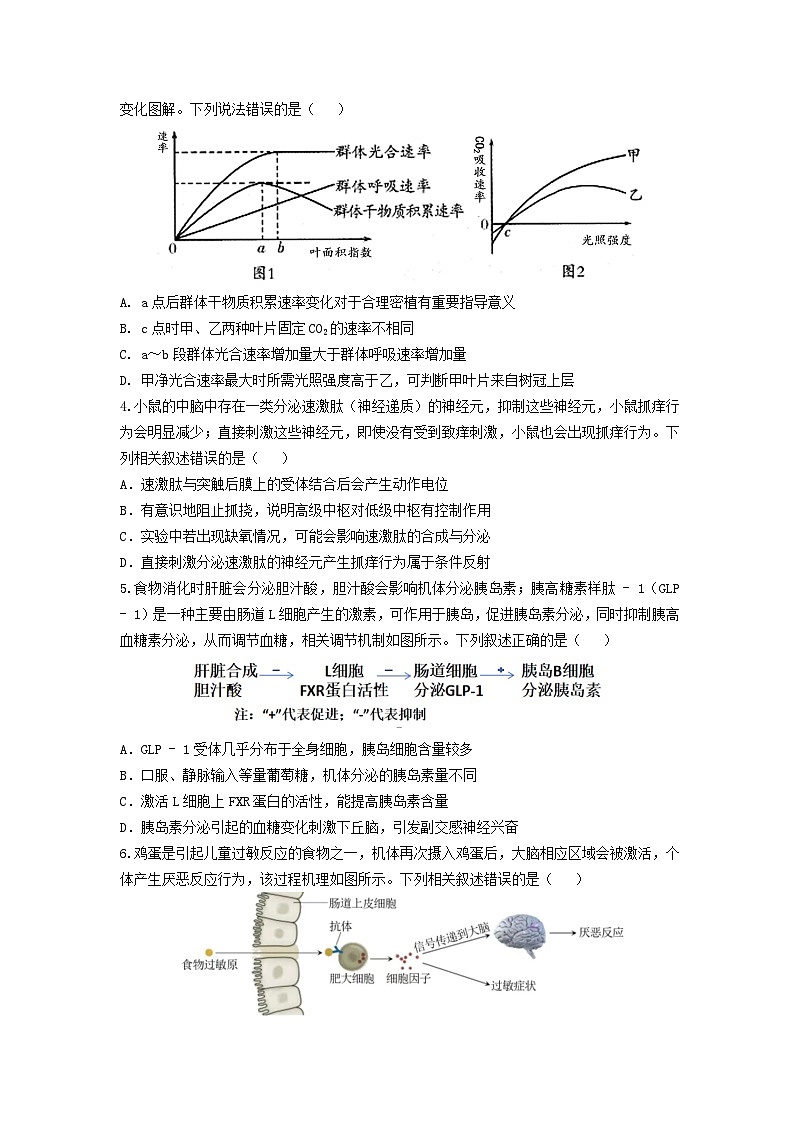 湖北省“黄鄂鄂”2025年高三下学期4月联考生物第2页